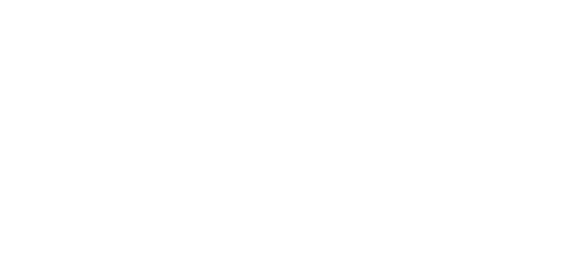 Logo Studio EMS